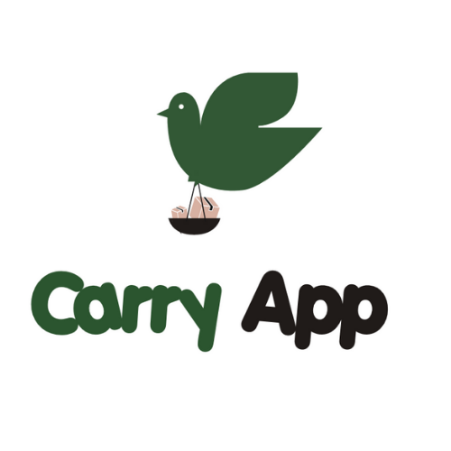 Carry App Connected Mobility Hub